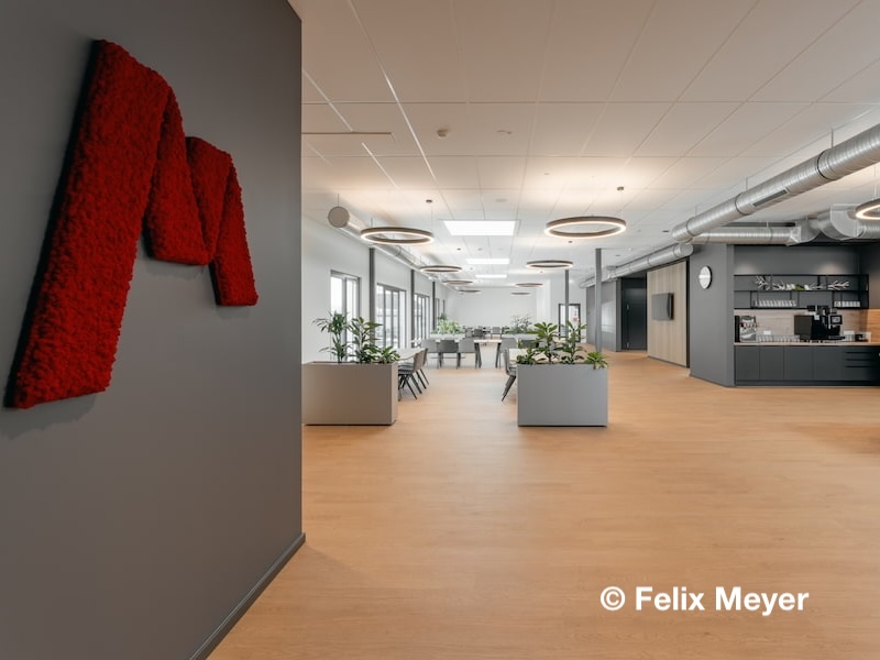 Moderner Bürobereich im Logistikzentrum Markgraf in Kemnath mit hellen Arbeitsbereichen, Pflanzen und Holzfußboden.